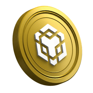 Pagina della guida per trader alle prime armi con la criptovaluta BNB
